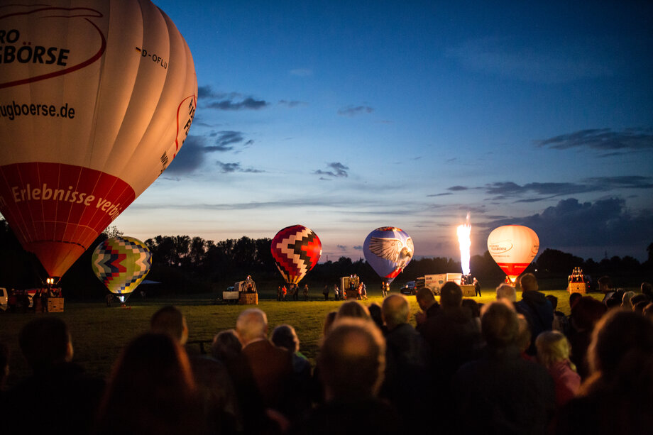 Flugtage am Salzgittersee 2014