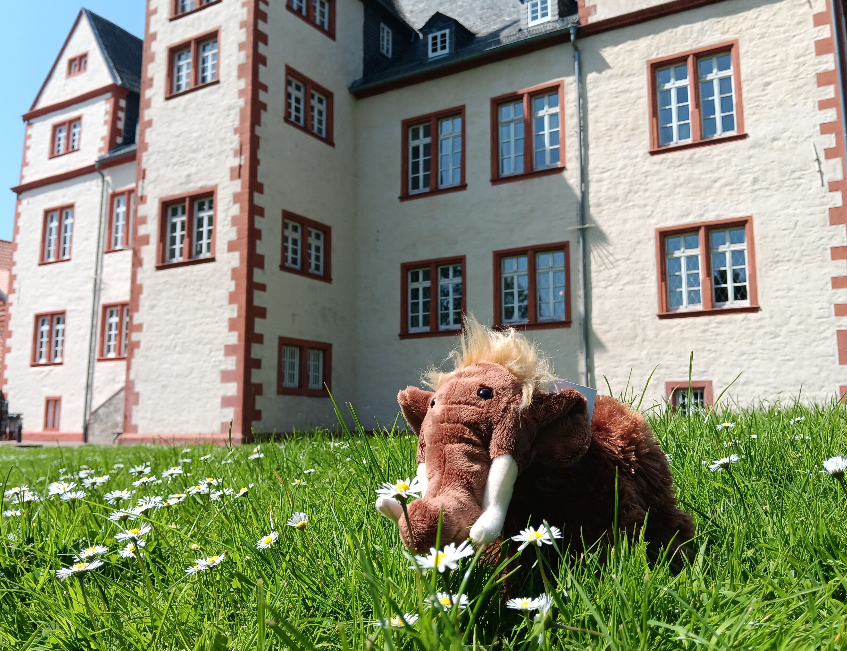 Das Bild zeigt das Pl&uuml;sch-Mammut im Gras vor dem Schloss Salder, das man bei der Schnitzeljagd gewinnen kann.